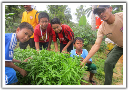Panen Kangkung 2